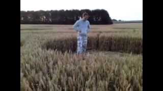 preview picture of video 'Avebury Stone Circle & Crop Circle, Wiltshire, England, UK, August 2012'