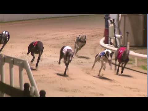 2020 CORAL ESSEX VASE - HEAT 1 - T2 DESPERADO DAN