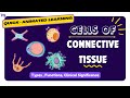 Cells Of The Connective Tissue Types Functions Clinical Significance Histology Animated