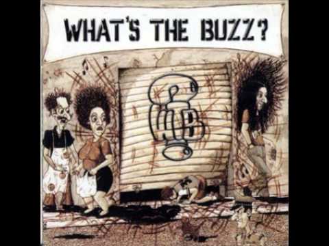 What's The Buzz? - Raindrops On A Dirty Sidewalk