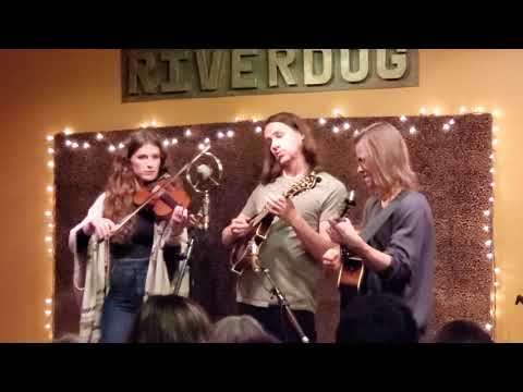 Leila - The Arcadian Wild