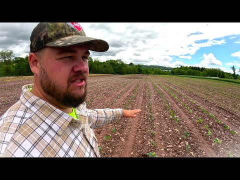 We just finished something big