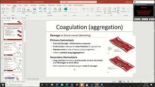 Coagulation  Part 1