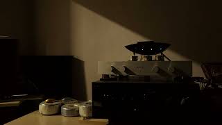 X Japan (Dahlia) - White Poem I