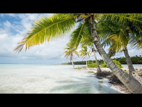 Sailing Around the Coconut Tree | Lines To Hawaii | E7