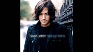 David Usher - The Music