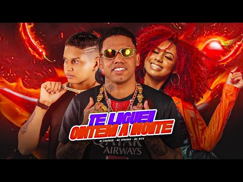 TE LIGUEI ONTEM A NOITE - MC DANINHO, MC NICK