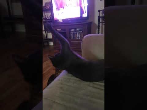 Oscar&Eddie playing with Daddy!!!