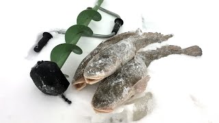Ловля налима зимой на поставушку