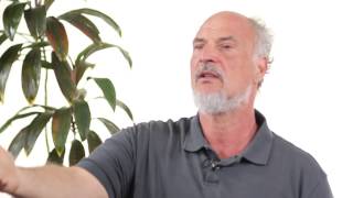 Yang Style Tai Chi - Bruce Frantzis Master's Learning Journey and Tai Chi Principles