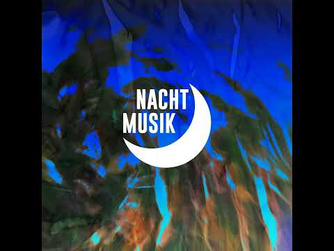 Lukas Firtzer - Gentle Passion [Nachtmusik]