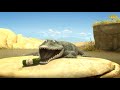 Crocodile Leon The Lion