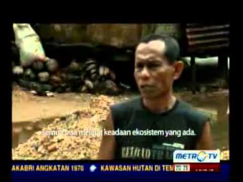 Pelindung Pantai Amboina _3 (The Guardian of Ambon Bay)