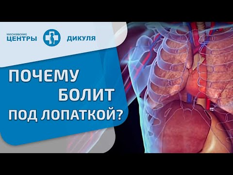 Хеель при остеохондрозе Операция на хрящ коленного сустава
