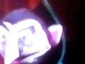 Elmo Says BOO DVD Trailer 1998 2006