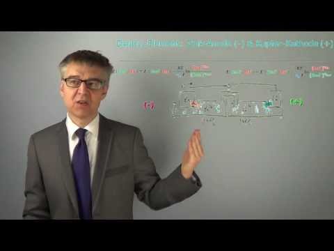 Zusammenschaltung von Elektroden zu Galvanischen Zellen - die Kathode ist freiwillig positiv (PC-61)