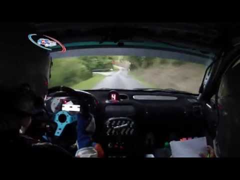 CAPACCI -  CAMOIRANO ROVER MG ZR 160 RALLY DI REGGELLO 2014