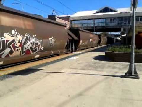 Quad 82 class locomotive at Gosford on a pacific national coal train