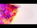 Happy Holi Wishes Holi Whatsapp Video Status Best Happy Holi Status Animated Holi Status 2021