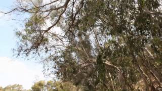 Scott Silletta "I CAN'T WAIT"