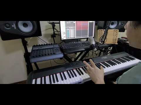 Цифровое фортепиано Pearl River P60BK