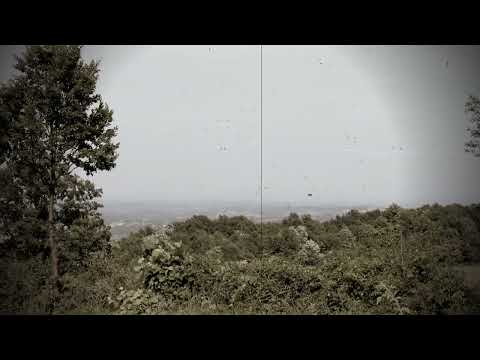 Marina Puharik', Ke ti kupam širok fustan, Zuice