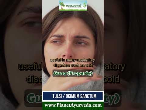 Ban tulsi extract powder, 25 kg