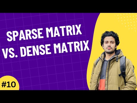 01 The Importance of Linear Algebra in AI Machine Learning Data Science Bangla