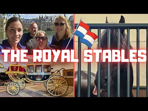 , title : 'We go to the Royal stables and palace of King Willem Alexander and Queen Maxima | Friesian Horses'