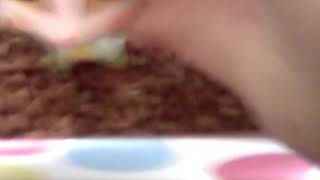 Пляж для лпс