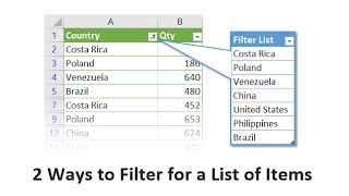 Get Filtered! 2 Ways To Filter For A List Of Items In Excel
