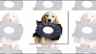 The Rustics - I'm Not The Loving Kind