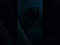 Elf 2001 2002 2003 2004 2005 2006 2007 Ending Credits