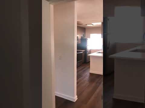 The Seahorse - Video 5 of 5