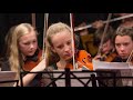 Die Streichinstrumente Musikum Salzburg