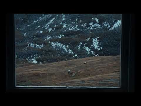 Хаски & масло черного тмина - Убей меня