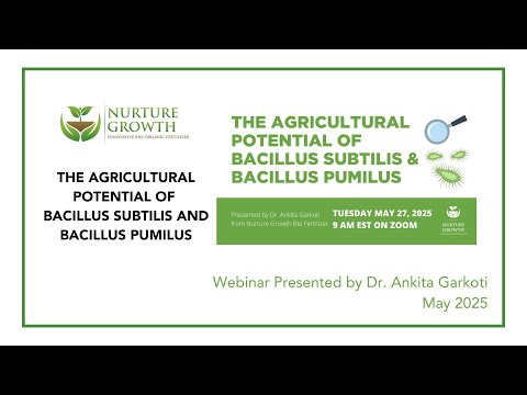The Agricultural Potential of Bacillus Subtilis and Bacillus Pumilus