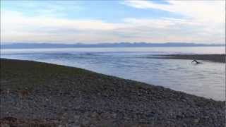 preview picture of video 'Elwha River New Beach'