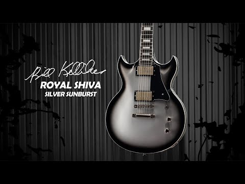 ESP LTD Hand-Signed Bill Kelliher Signature Royal Shiva Guitar - Silver Sunburst image 8