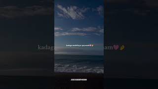 Download lagu AMN MASHUP SONGS | Maari 2 | #songs #amnmashuosongs #music #marri2 #song #music #viral #trending mp3