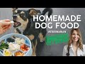 VET APPROVED Homemade Dog Food Recipe Affordable Healthy