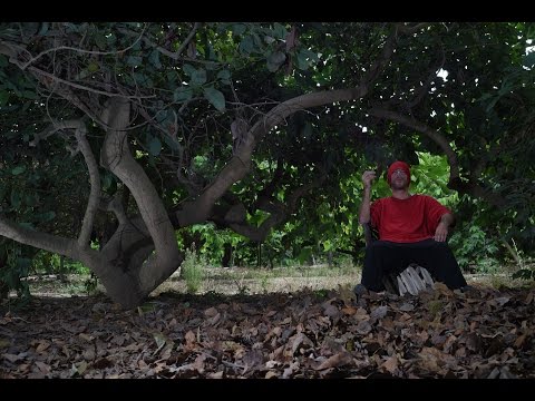 Reproducir vídeo