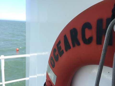 ‘Don’t Fear The Fin’: Shark Week returns