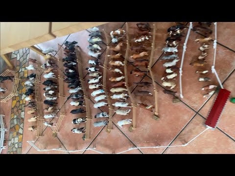 XXXL Schleich Horse Market! Sooo many horses!