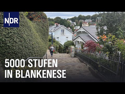 Video Thumbnail: Hamburg: Das Treppenviertel an der Elbe | Die Nordreportage | NDR Doku