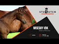 Wiseguy VDK