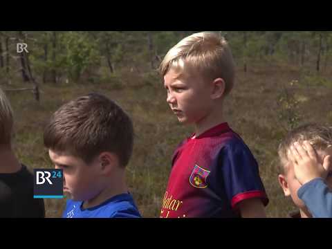 Im schwarzen Moor - Grusel inklusive | BR24