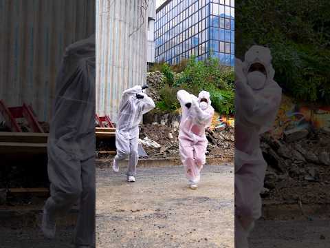 EXPOSITION KUDURO EN FRANCE 🇫🇷 COLLECTIF AGN: danseurs: Xtana sensei & Debalo