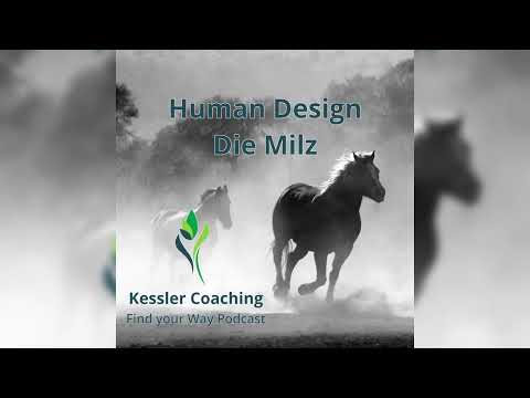 Human Design Zentren - Die Milz