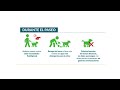 COVID 19 - Recomendaciones / Mascotas